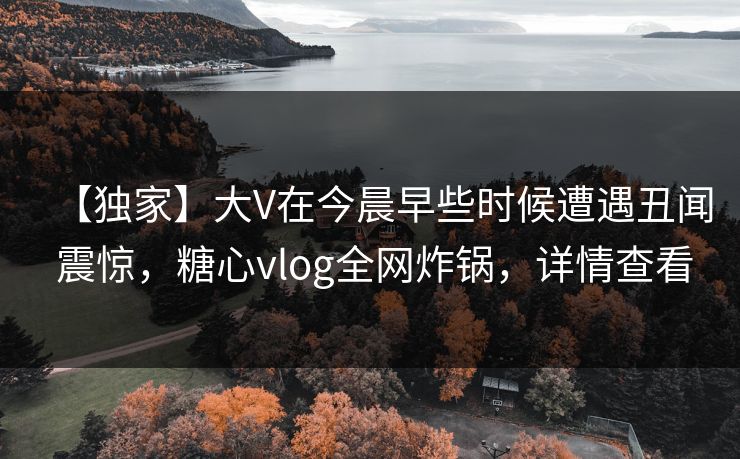 【独家】大V在今晨早些时候遭遇丑闻 震惊，糖心vlog全网炸锅，详情查看